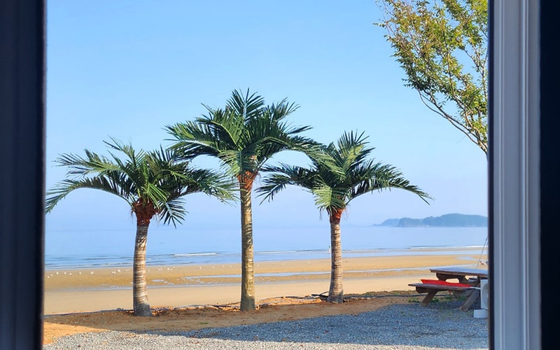 신두57캠핑장 시설 사진 11