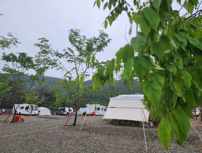 언덕캠핑장 시설 사진 15