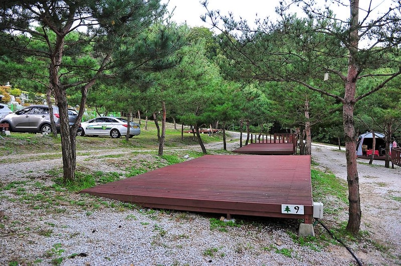 소나무농원 캠핑장 시설 사진 11