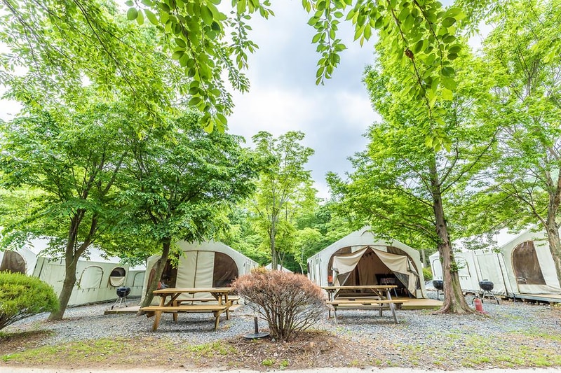 노꼬담꼬 시설 사진 18