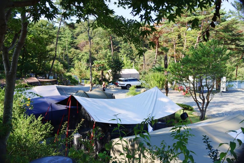 (주)러블레싱(LOVEBLEESING INC) 시설 사진 19