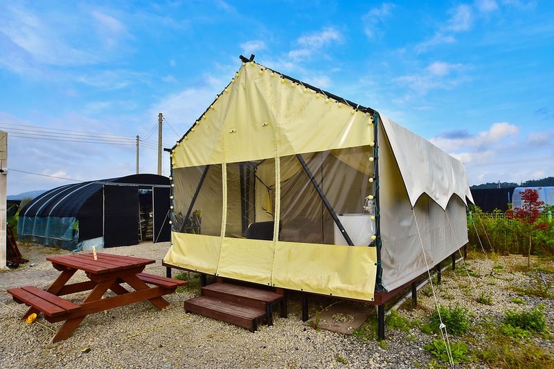 도담오토캠핑장 시설 사진 17