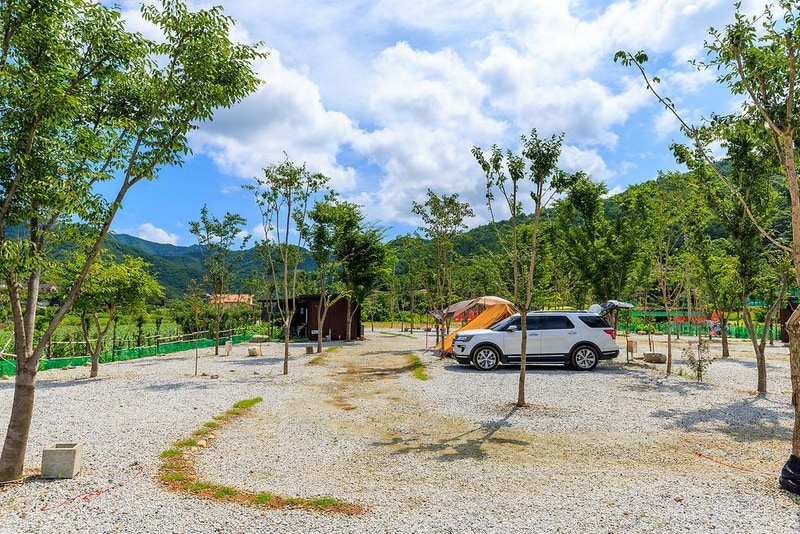 양지뜰캠핑장 시설 사진 16