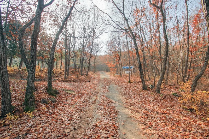 청송오토캠핑장 시설 사진 1