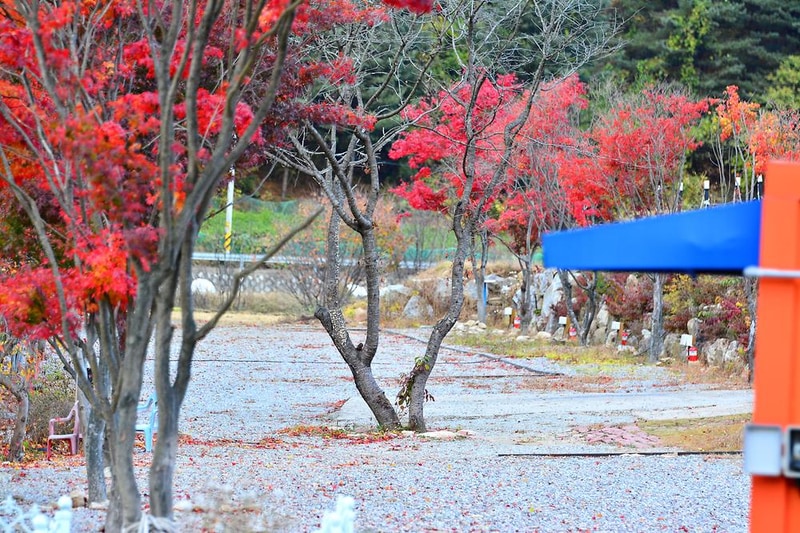 더엠캠프 시설 사진 3