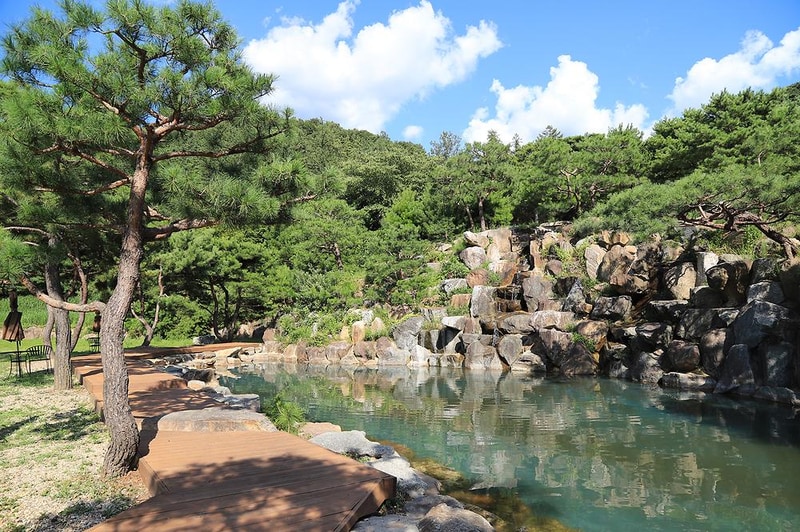 숲속의야영장 시설 사진 12