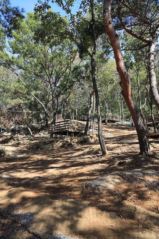 강화도 아침 숲속야영장 시설 사진 24