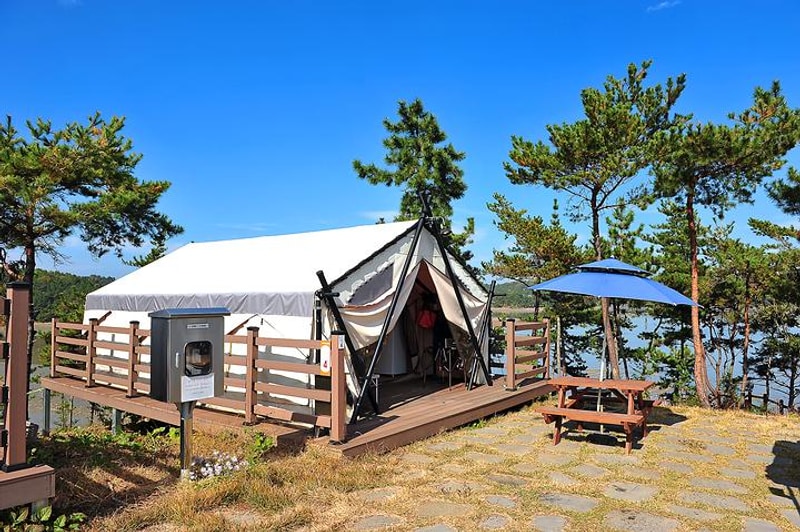 비토 국민여가캠핑장 대표 사진