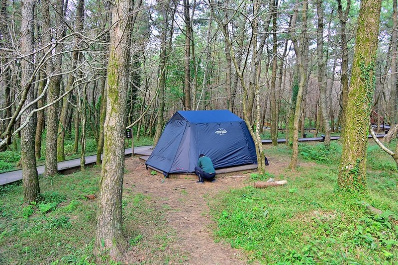 붉은오름 자연휴양림 숲속 야영장 시설 사진 39