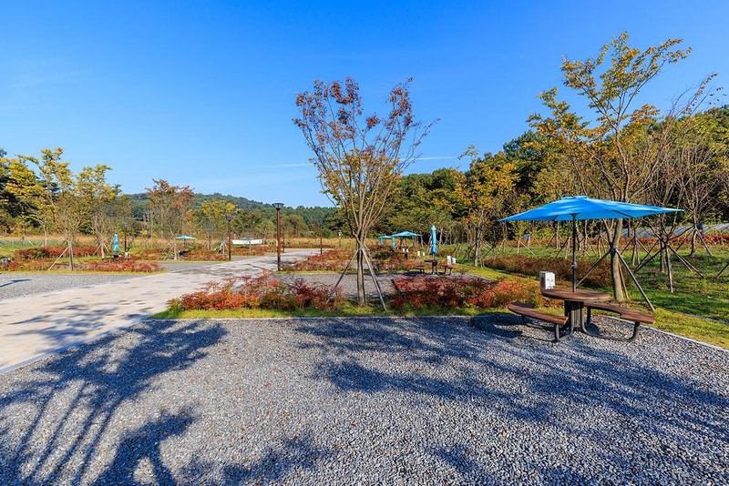 하기숲 가족캠핑장 시설 사진 4