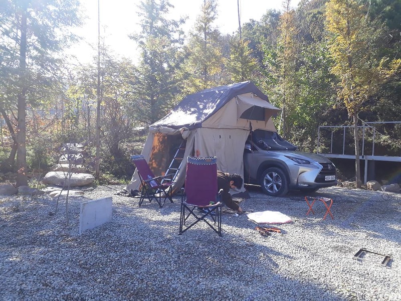 야생초마을아미골 시설 사진 13