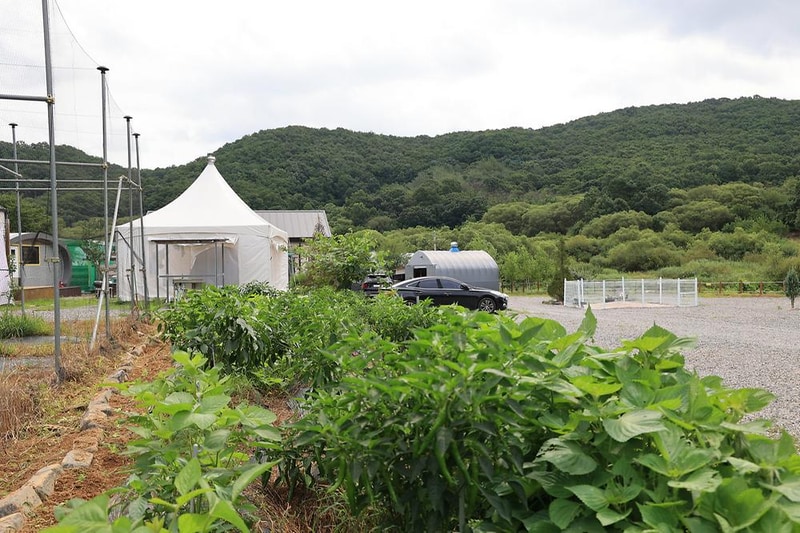 야호캠핑장 시설 사진 19