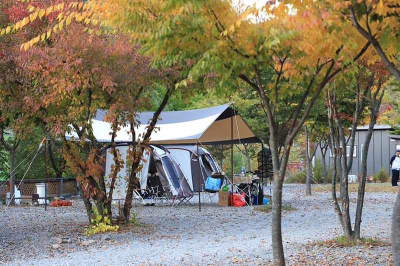아빠가 만든 캠핑장 대표 사진