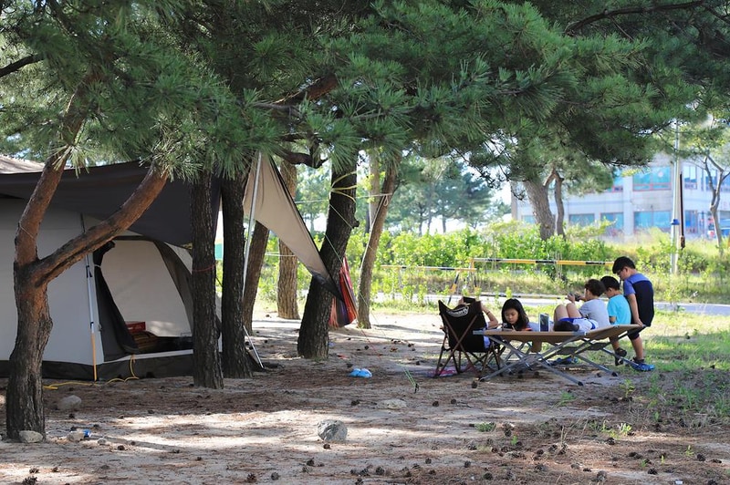 낙산해수욕장 야영장 시설 사진 6