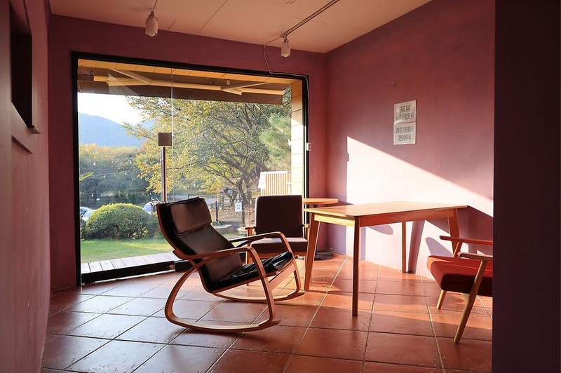 펫밀리애견파크타운 시설 사진 11