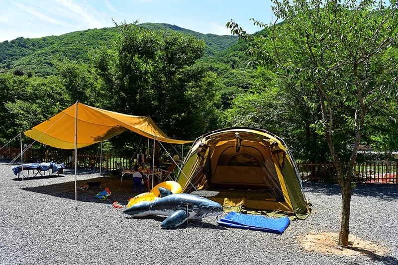 들살이오토캠핑장 대표 사진