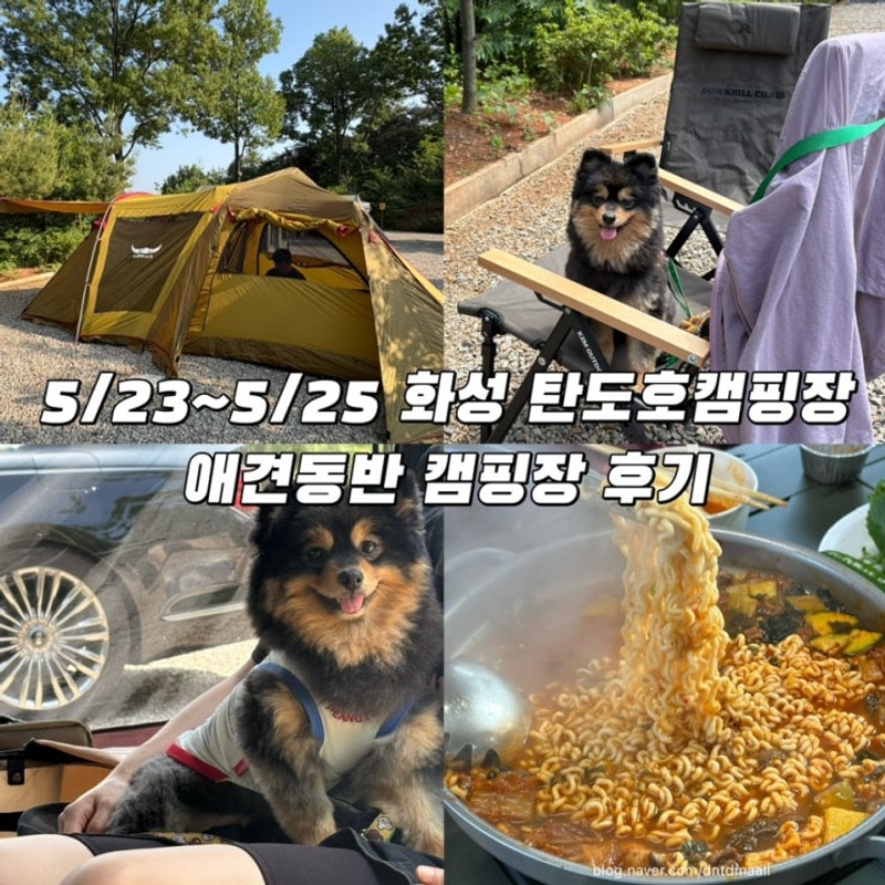 5/23~5/25 2박3일 경기도 화성 탄도호 캠핑장 애견동반 가능