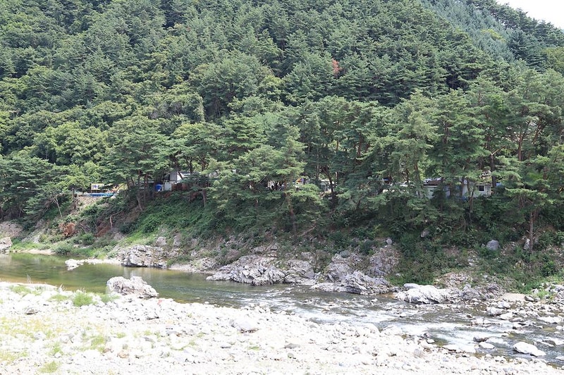 내린천솔밭힐링캠핑장 시설 사진 21