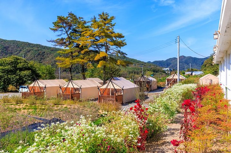 일상화 글램핑 대표 사진