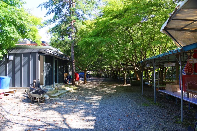 거목 글램핑 시설 사진 11