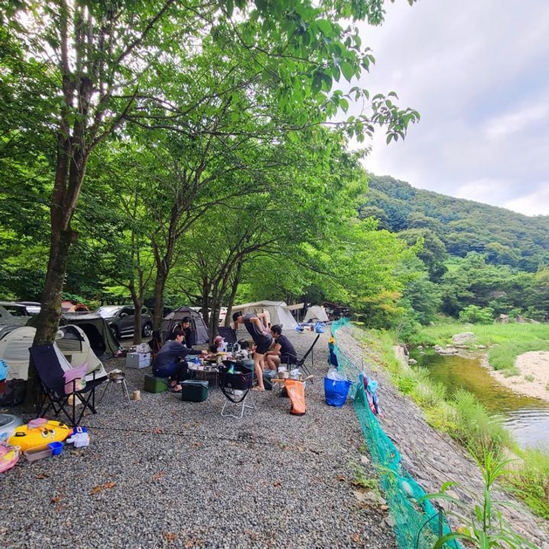 별삼킨별캠핑장