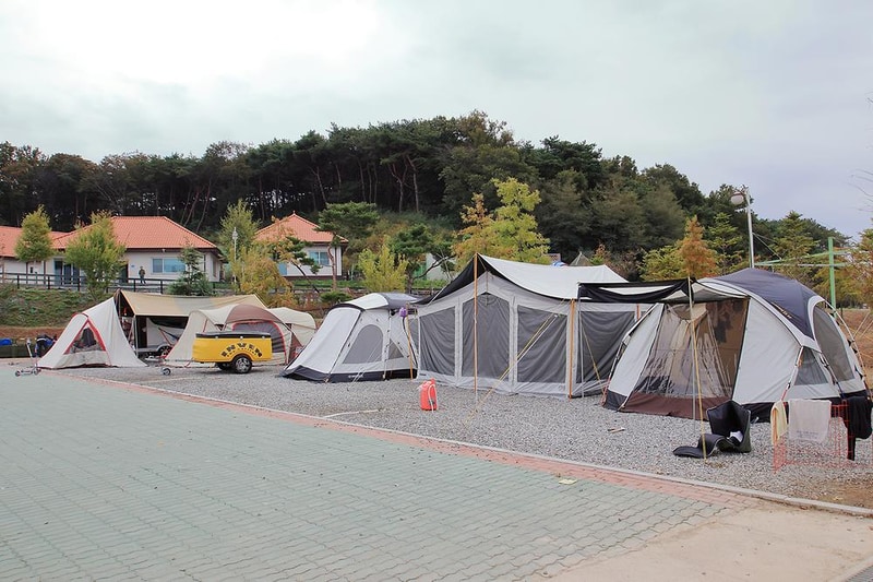 스칸디캠프팜 시설 사진 10