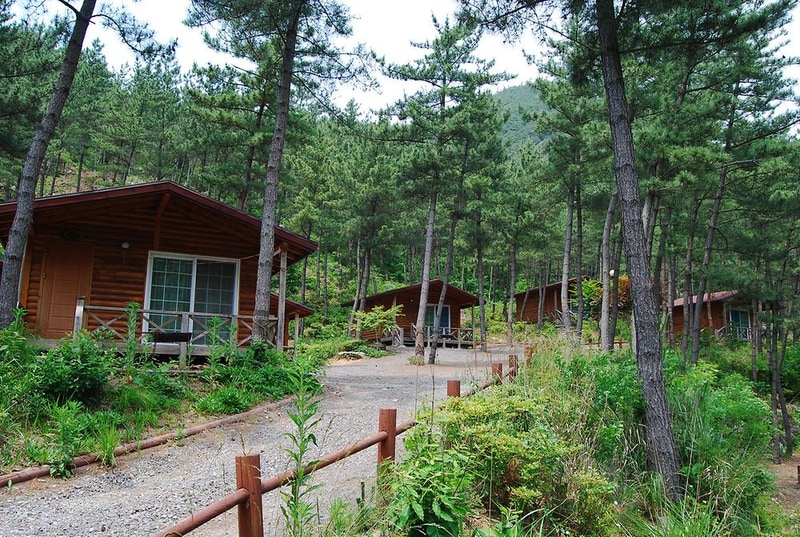 희리산 해송자연휴양림 일반야영장 시설 사진 4