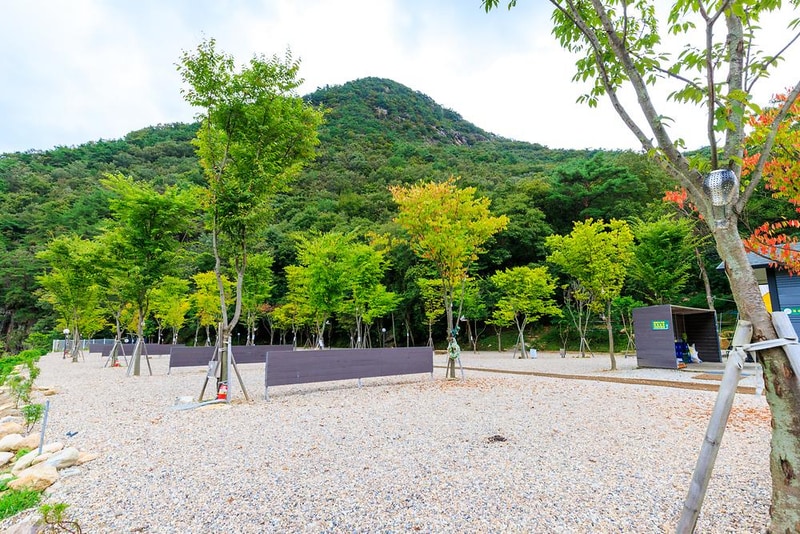 신월리 오토캠핑장 시설 사진 14