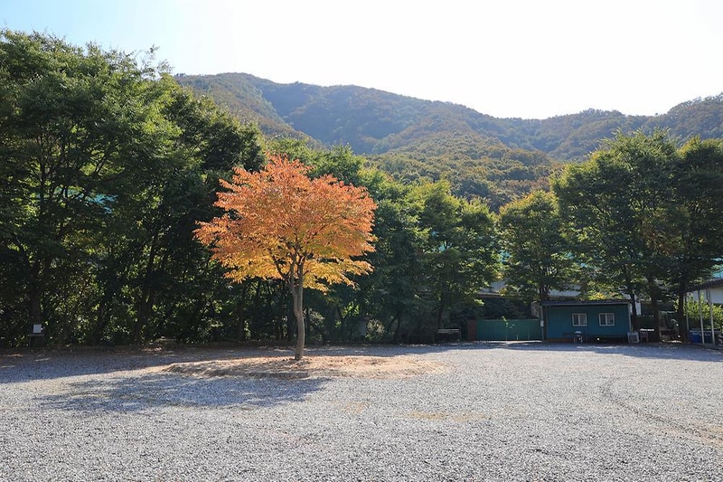 485캠핑장 시설 사진 7