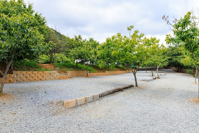 트리팜 관광농원 시설 사진 2