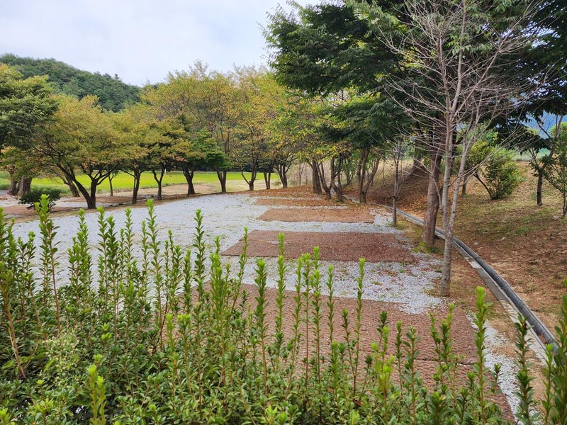 용인반딧불캠핑장 시설 사진 16