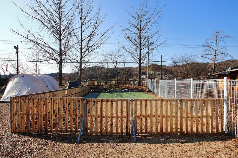 피플앤독 느티캠핑장 시설 사진 5