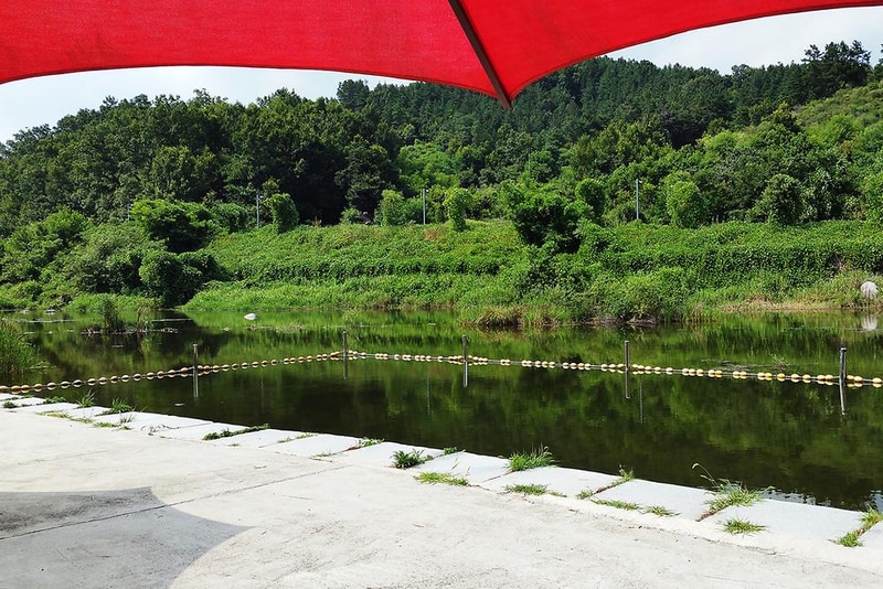 김천부항댐 산내들 오토캠핑장 시설 사진 10