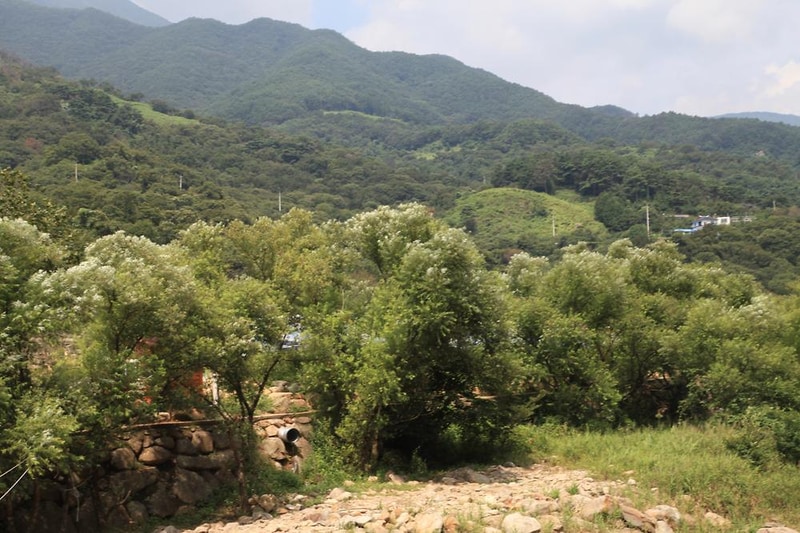 피아골오토캠핑장 시설 사진 39