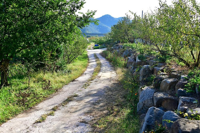 조개섬 야영장 시설 사진 14