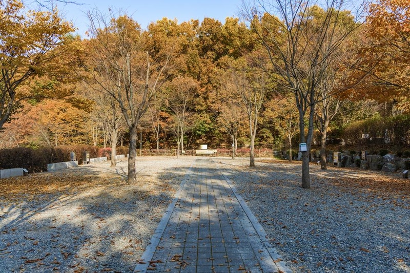 초막골생태공원 느티나무야영장 시설 사진 37