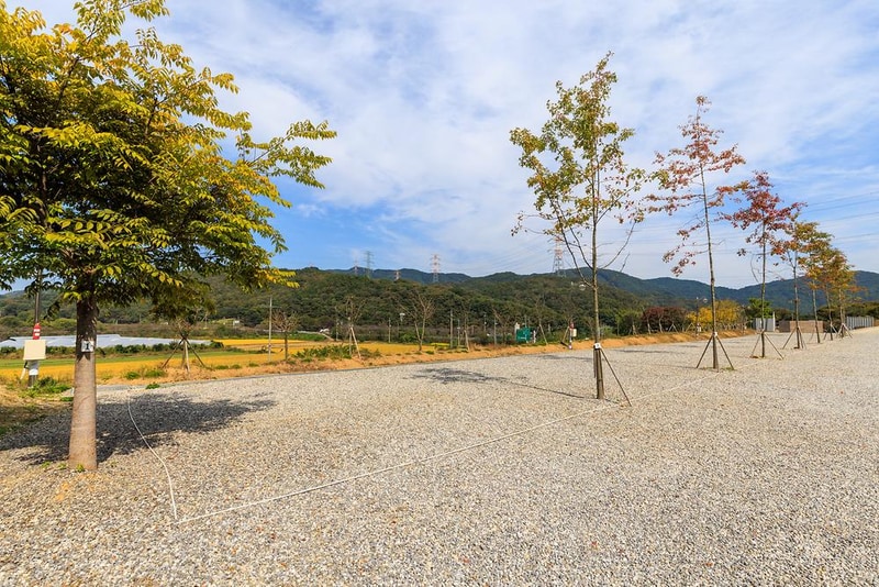 진천포레스트캠핑장 시설 사진 6