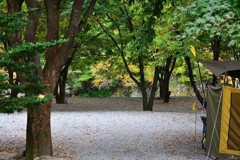 중바위캠핑장 시설 사진 11