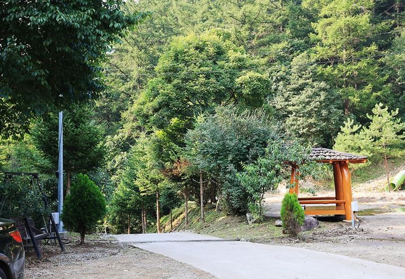 양평숲 비룡캠핑장 대표 사진