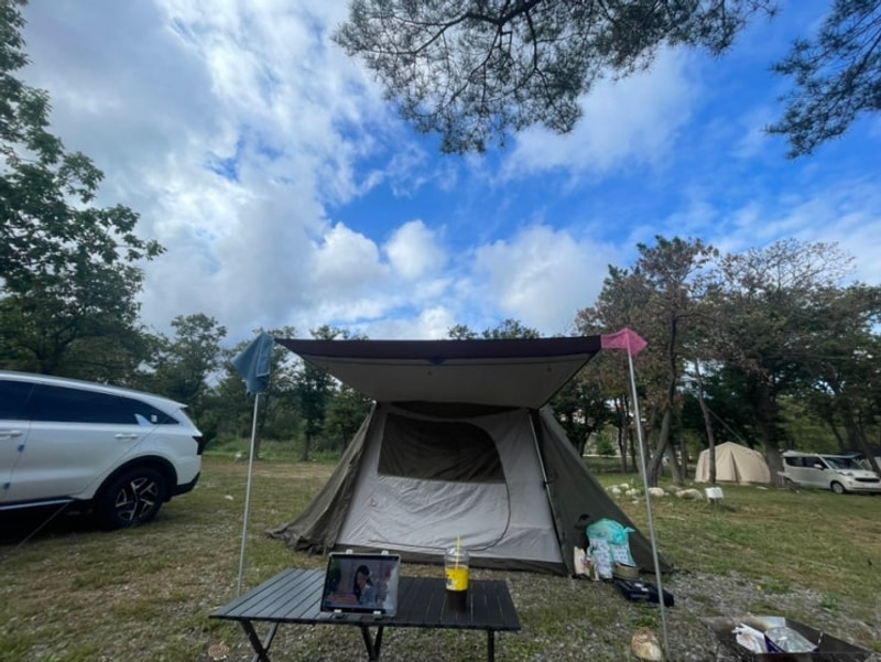 참새둥지야영장