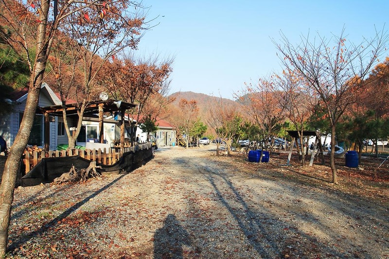 곤달비캠프 시설 사진 10