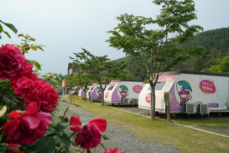 낙동강레포츠밸리 구지오토캠핑장 시설 사진 23