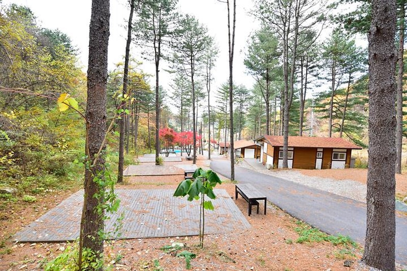 유명산힐링캠프 대표 사진