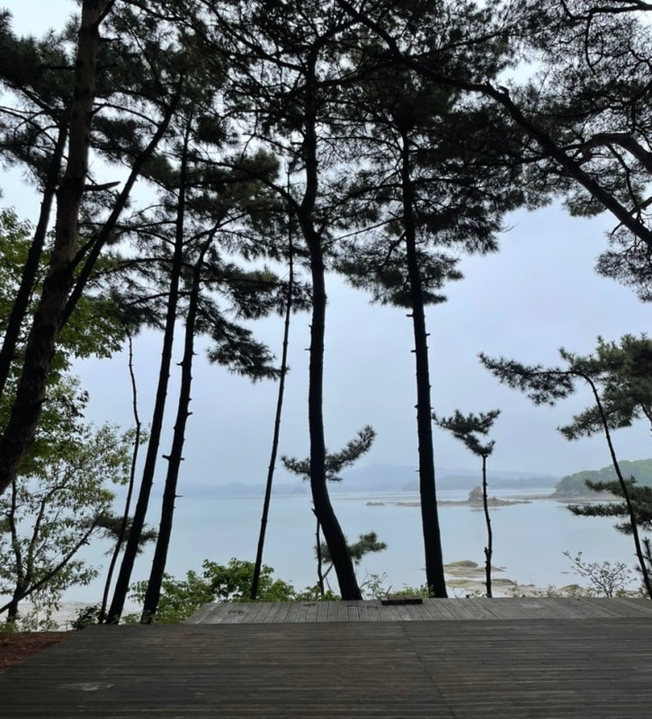 청산리오토캠핑장