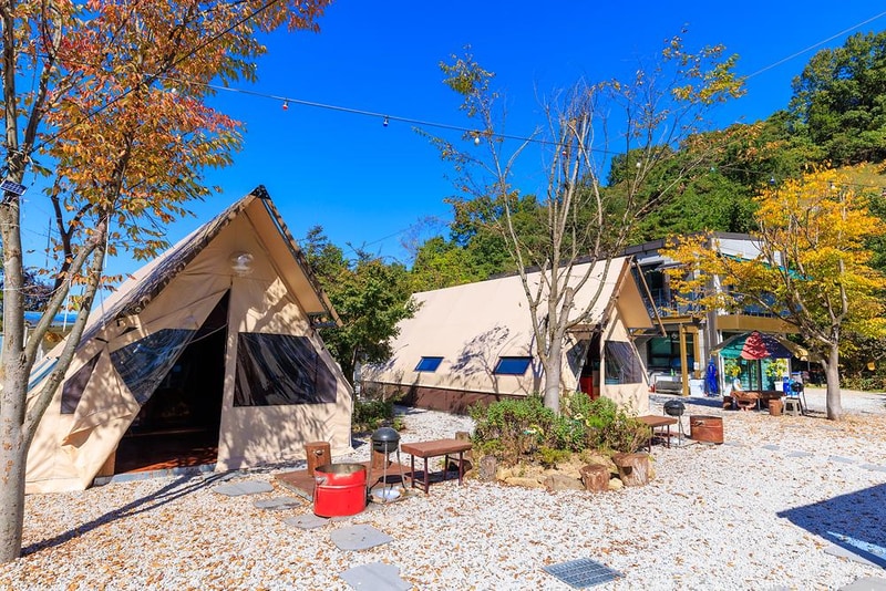 벅스글램핑 시설 사진 15