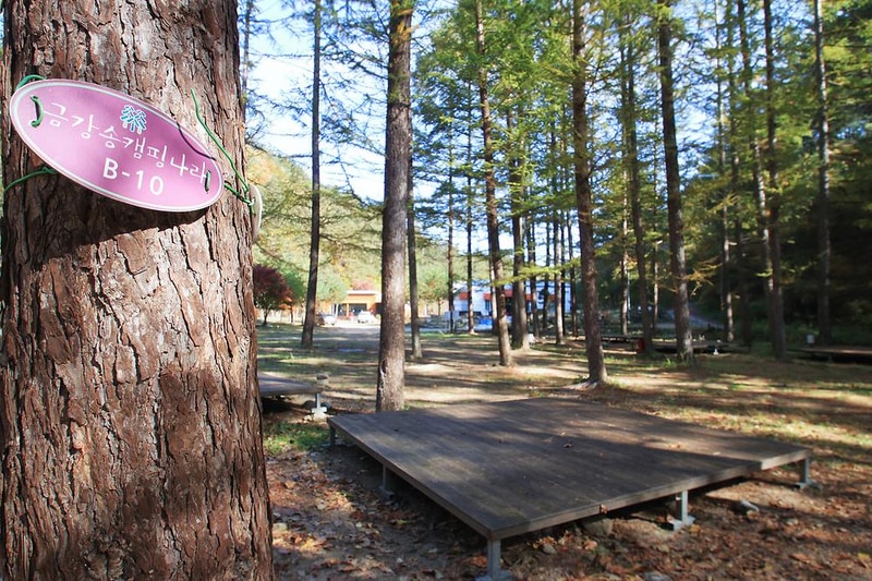 금강송 체험 야영장 시설 사진 3