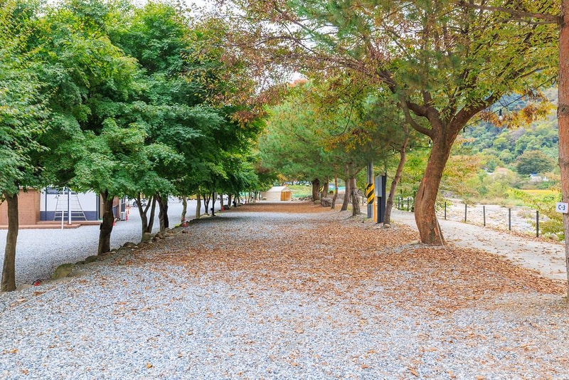 포레스트캐빈앤캠프 시설 사진 14