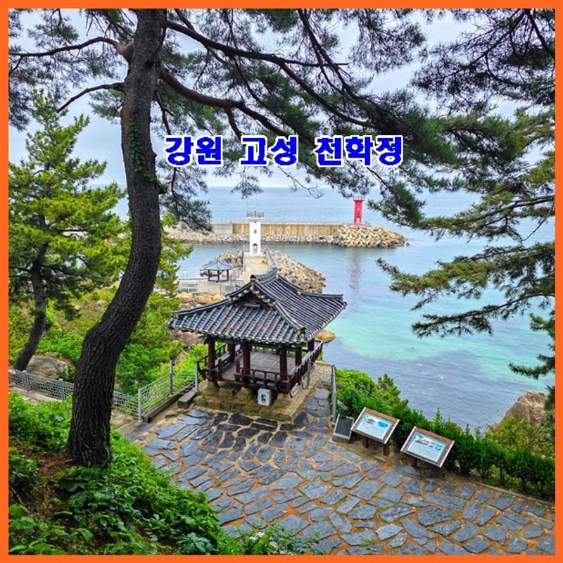 청간정