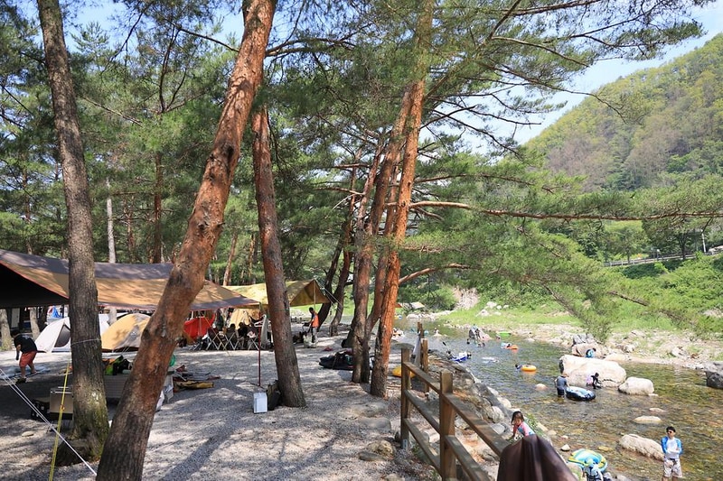 내리계곡 솔바람 캠핑장 시설 사진 11
