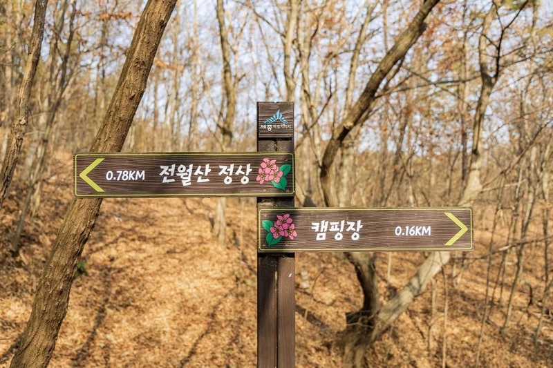 전월산 국민여가캠핑장 시설 사진 62